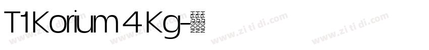 T1 Korium 4 Kg字体转换